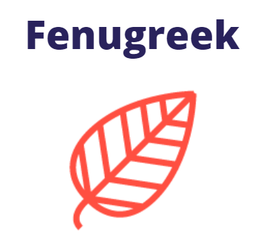 Fenugreek