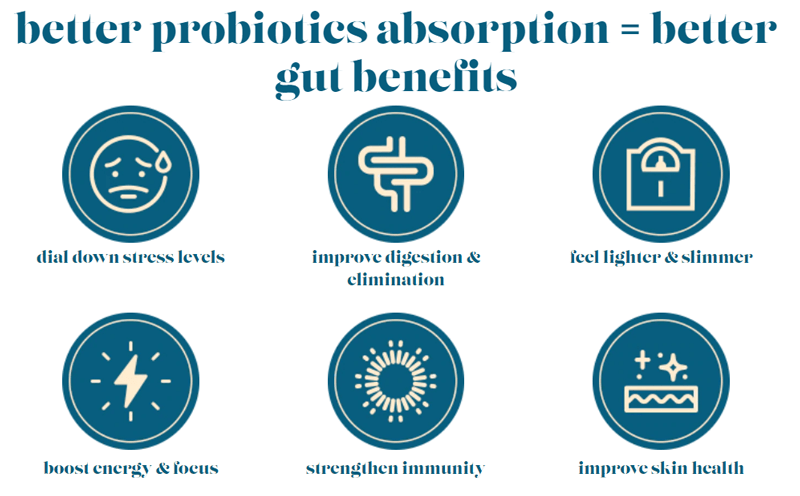 YourBiology Gut Benefits