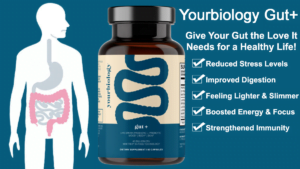 YourBiology Gut Shred Fitness NY Review